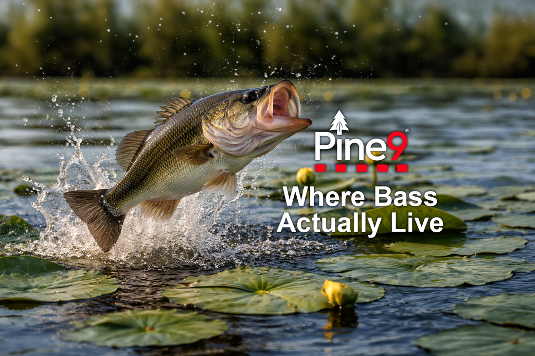 Where Bass Actually Live